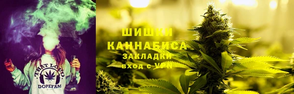 ГАЛЛЮЦИНОГЕННЫЕ ГРИБЫ Зерноград
