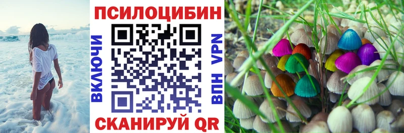 Псилоцибиновые грибы ЛСД  Купить где  Нижняя Тура 
